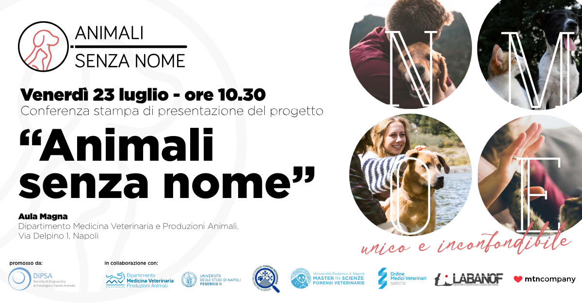 Animali senza nome, il 23 luglio la presentazione al Dipartimento di Medicina Veterinaria e Produzioni Animali di Napoli
